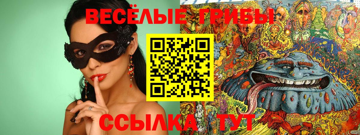 купить наркоту  Галлюциногенные грибы мицелий  Вход с VPN  Псилоцибиновые грибы мицелий  Великий Устюг 