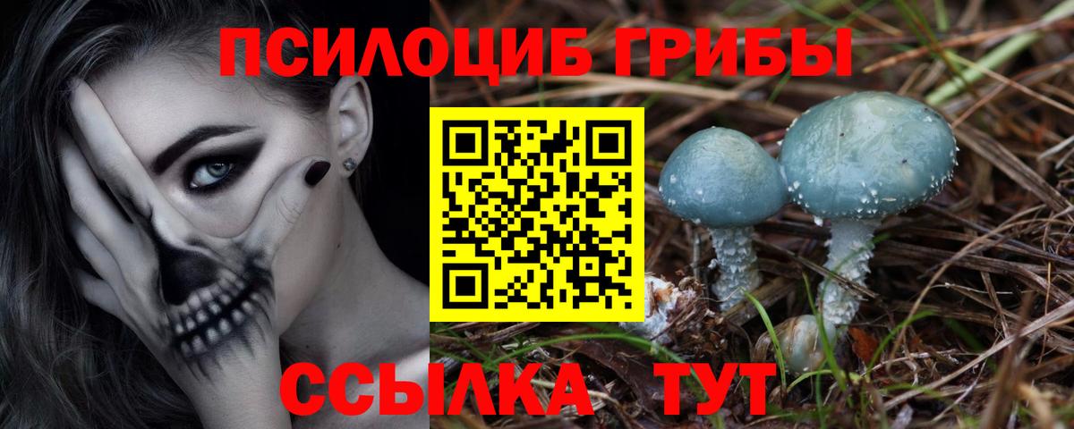 Галлюциногенные грибы ЛСД Великий Устюг